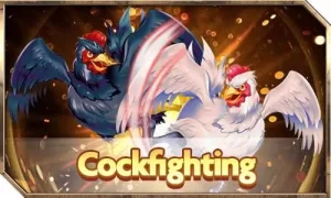 Cockfighting 1